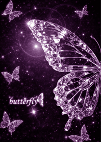 開運｜閃耀蝴蝶 紫夜#4