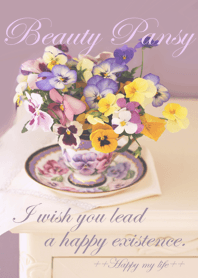 Beauty Pansy
