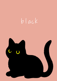 Black Cat Holiday on pink & blue