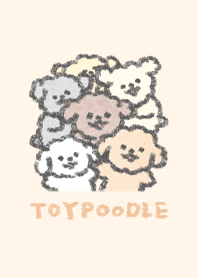 Baby toypoodle