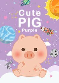 misty cat-cute pig Galaxy purple3