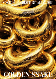 Golden snake  Lucky 50