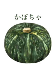 Delicious pumpkins from Japan 2