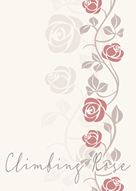 クライミングローズ*アイボリー