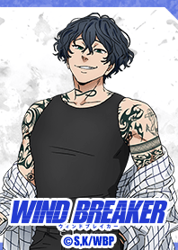 WIND BREAKER Vol.19
