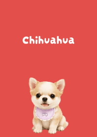 I love Chihuahuas02 red
