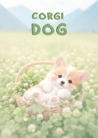Lovely Corgi Dog In Clover