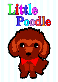 Little Poodle