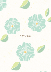 Flower large flower cute6
