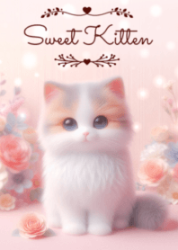 Sweet Kitten No.977