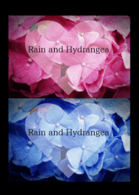～Rain and Hydrangea～ 7 #fresh