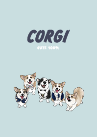 corgicorgi4 - light blue