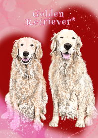 VIVA! GOLDEN RETRIEVER!