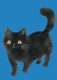A unique cat04 blue