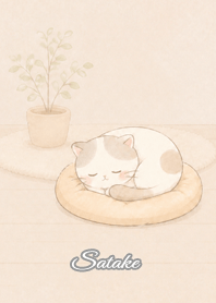 Cozy Lazy Cat: Satake