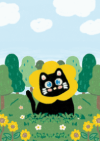 Baby black cat