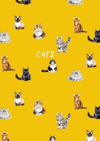 cat world on yellow