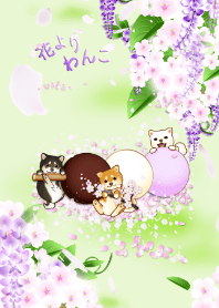 花よりわんこ12（柴犬、藤、桜、梅、団子）