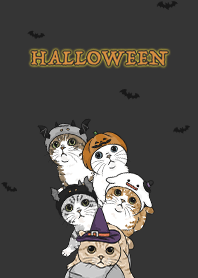 meow's halloween2 / carbon black