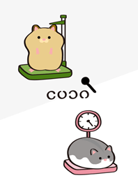 ハムスターの健康チェック!(真っ白)