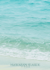 HAWAIIAN-SEASIDE SHELL- 25