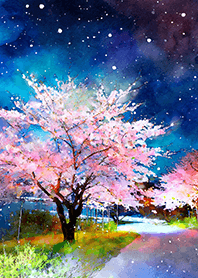 Beautiful night cherry blossoms#1299