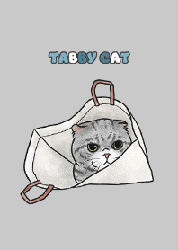 tabbycat8 / grey