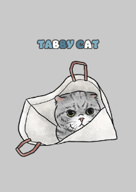 tabbycat8 - grey