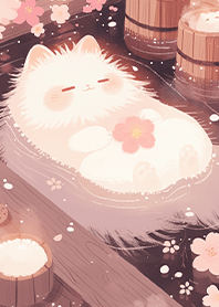 Healing cat in cherry blossom spring JP