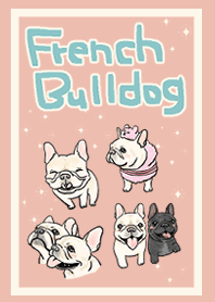 bulldog Perancis yang lucu dan cantik