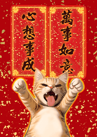 新年許願阿貓3