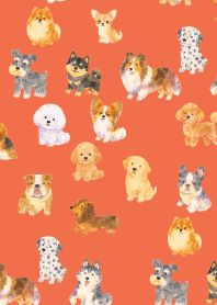 Is my dog here? 01 red & yellow JP