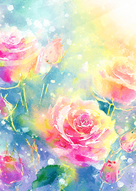 Beautiful rose flower(R2368)