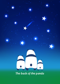 The back of panda -Night Sky-
