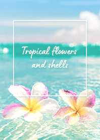 Floating Flowers (PR) -  03 Mint