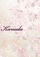 Kaneda Sakura Beautiful