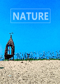 The nature26
