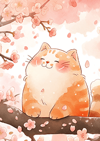 在賞花櫻花的胖貓❤