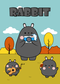 Black Rabbit & Kids Theme