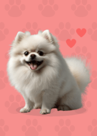 Cute Pomeranian Theme Red 01