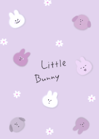 violet Fluffy rabbit and daisies 03_2