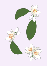 white flowerLA
