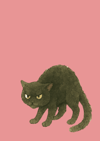 Angry Black Cat on light pink