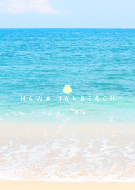 HAWAIIAN BEACH -shell- 19