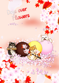 Dogs over Flowers 6 (cherry blossoms)