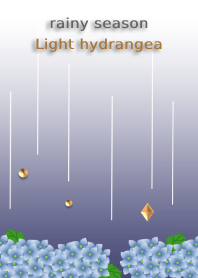 rainy season<Light hydrangea>
