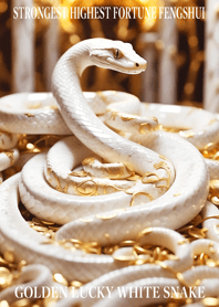 Golden White Snake of Financial Luck 011