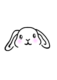 ♡垂れ耳うさぎ♡