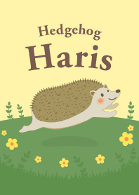 Hedgehog Haris - ハリネズミのハリス