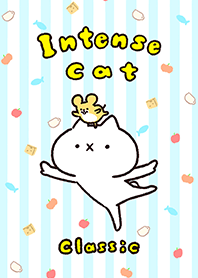 Intense cat